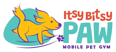 logo_porfolio-color.webp